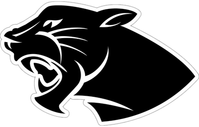 Perry Panthers logo